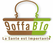 1000 Fikra Expo